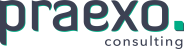 Praexo Consulting